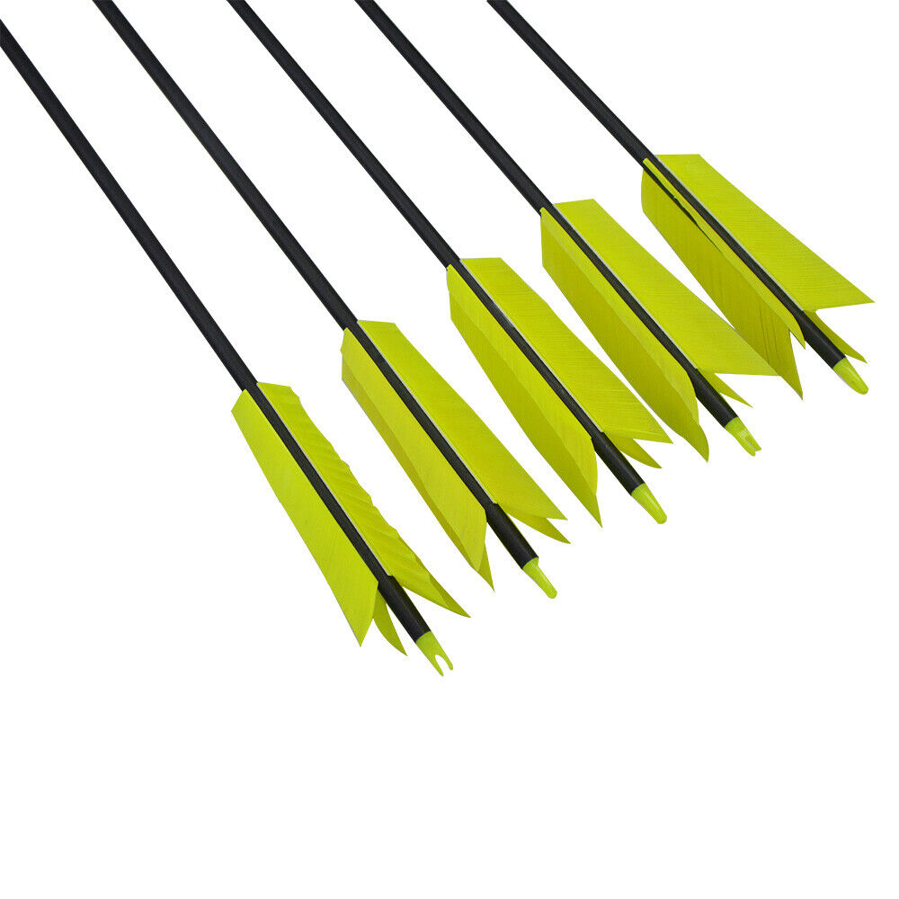 12pcs 30" Carbon Arrows 4"  Feather SP500 Bow Hunt Archery Shoot Target